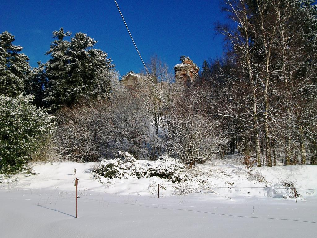 Gite Du Windstein Exterior photo