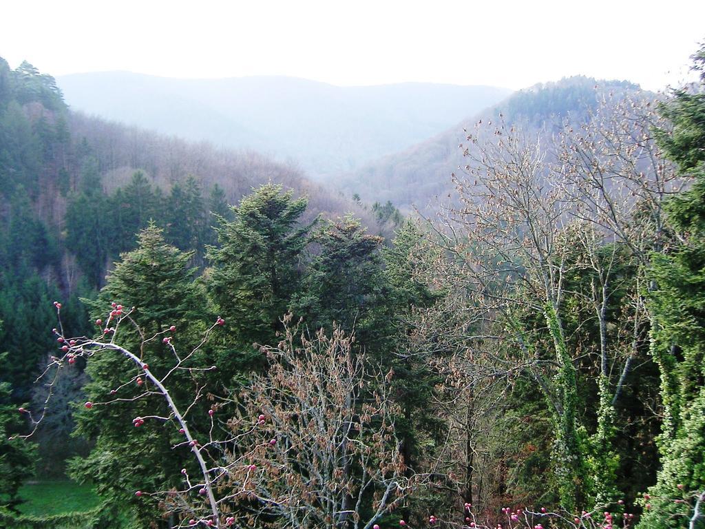 Gite Du Windstein Exterior photo